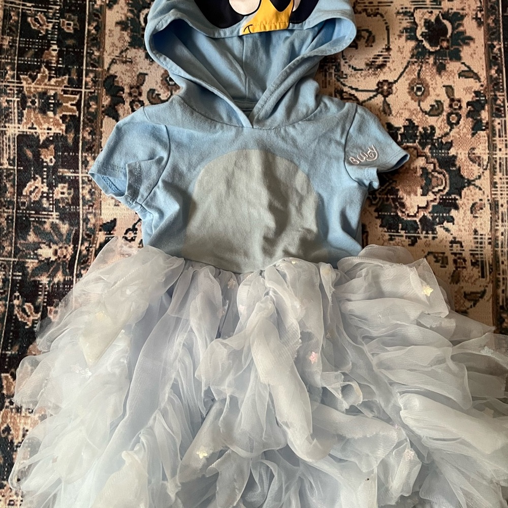 Blue and White Bluey Dress with Hood